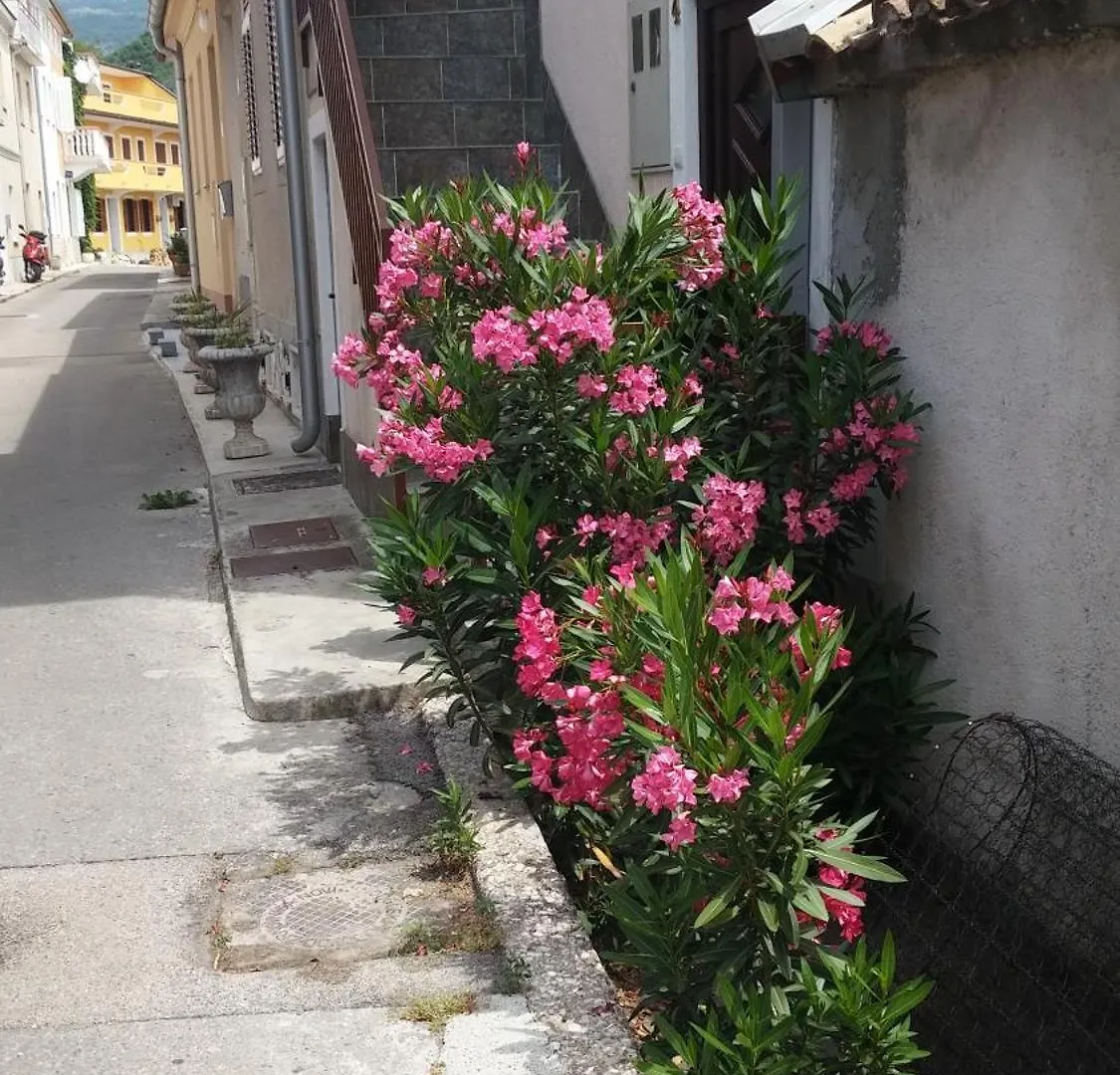 Apartments Zlata تْسْغيكفانِتْسا